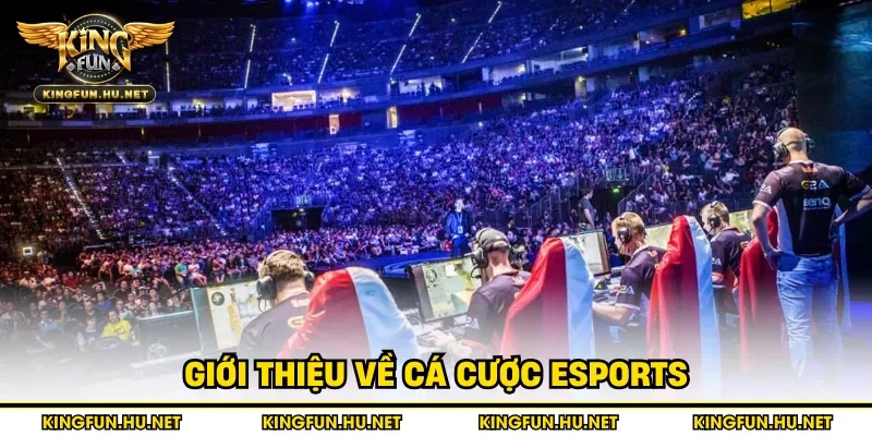 Giới thiệu về cá cược esports