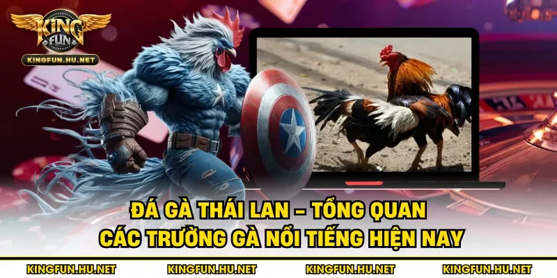 Đá gà Thái Lan