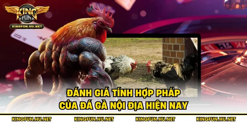 Đánh giá tính hợp pháp của đá gà nội địa hiện nay