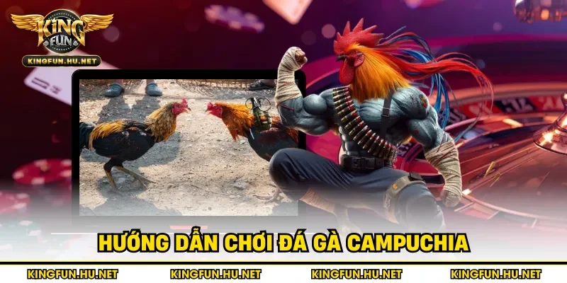 Hướng dẫn chơi đá gà Campuchia