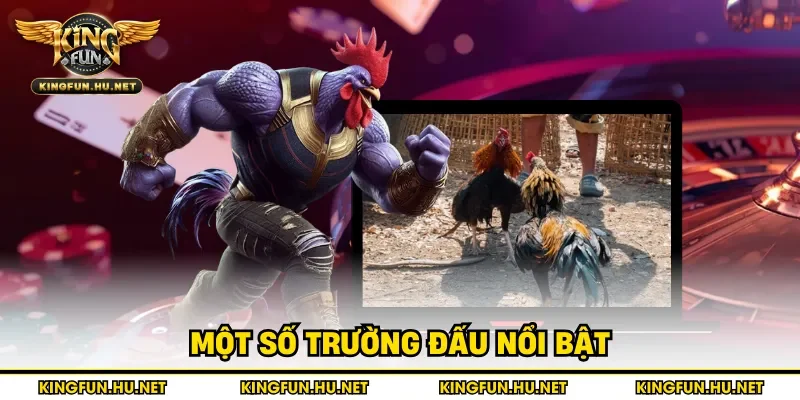 Một số trường đấu nổi bật tại Campuchia