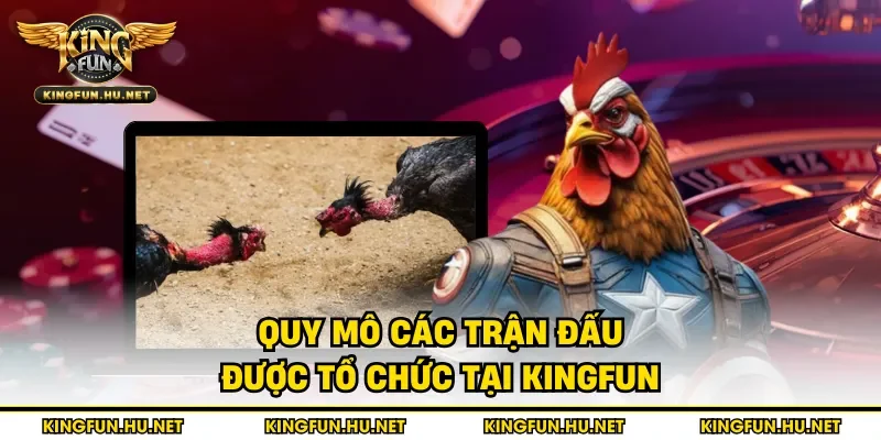 Quy mô các trận đấu được tổ chức tại Kingfun