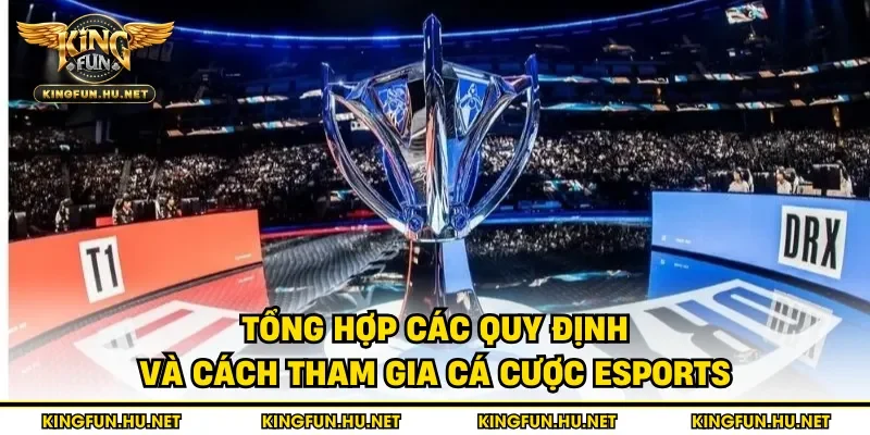 Tổng hợp các quy định và cách tham gia cá cược esports