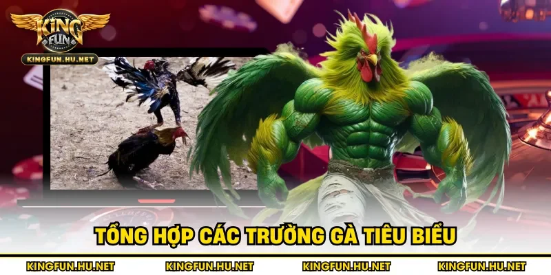 Tổng hợp các trường gà tiêu biểu