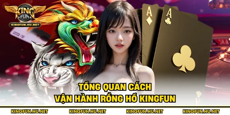 Tổng quan cách vận hành rồng hổ Kingfun