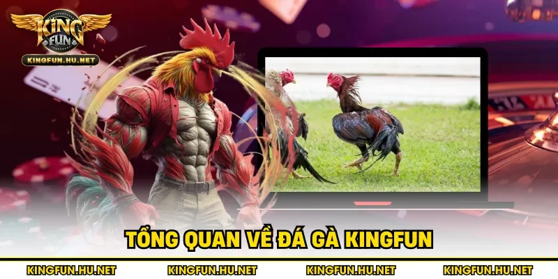 Tổng quan về đá gà Kingfun